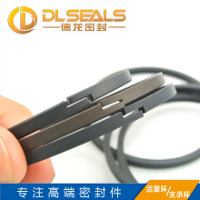 DLSEALSҺ����PTFE֧�έh �����U֧����ĥ�h �ķ�Z���_�ڌ���h