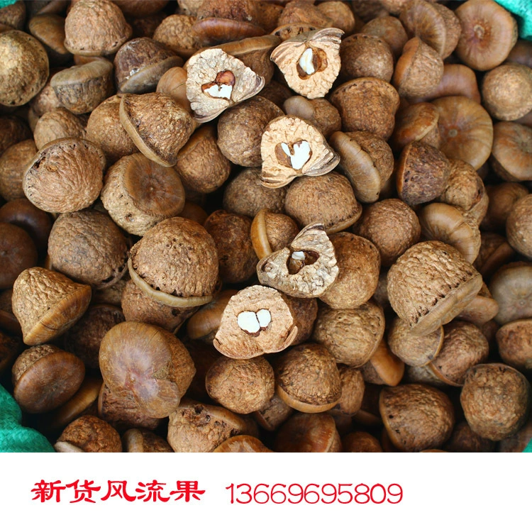 Фрукт Вайлд Фэнлиу (Тяньчжу Бодхи), Янгуо, Фрукт Саотоугуигуи, Оптовая продажа большими партиями