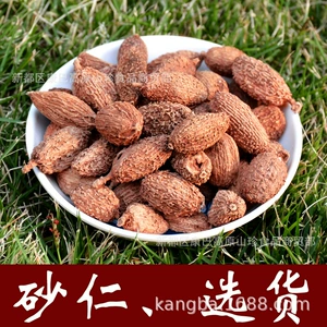 [中药材 砂仁 西砂仁  米砂 缩砂  选货]