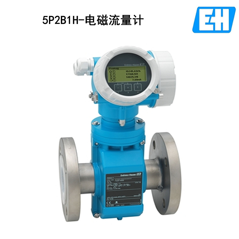 E+H电磁流量计5P2B1H-AABCCAED3K0ADN100 4"口径PTFE内衬316L电极