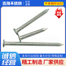 304  /201不锈钢环纹钉 螺纹钉 非标圆钉定 品质洋钉螺丝钉