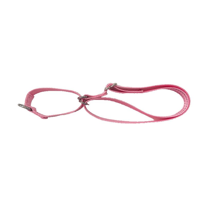 Cuerdas de tracción para perros, cuerdas de tracción alargadas, collares para perros, cuerda para caminar, Teddy de pelo dorado para mascotas, cadenas de perros grandes y medianos