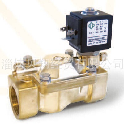 ODE��ŷ� 21W4KE250 AC220V