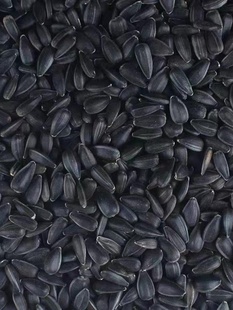 New Raw Oil Sunflower Parrot Bird Food Feed Parrot Melon Seeds Black Melon Seeds Bird Food Black Pearl Snacks Special Food Bird Food