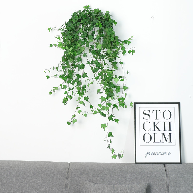 [벽걸이] 부티크 165 # 아이비 60-90cm [훅 + 영양 용액 보내기]]