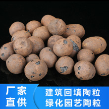 广东厂家大陶粒建筑回填陶粒花用垫底养花专用养鱼陶粒回填厕所颗