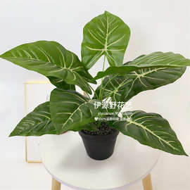 仿真海芋叶 9头中大型绿植把束盆栽 仿真植物墙配材高档绿植