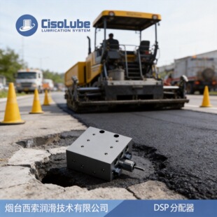 ���S��ֱ�N��DSP�S�ͷ������f�Mʽ��֬�����y��추�䁙C����荙C