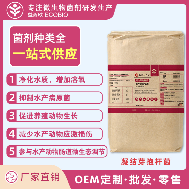 凝结芽孢杆菌水质剂枯草生根菌水产养殖功能菌溶剂净化净水益生菌