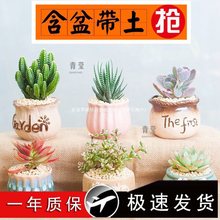 ������B���⻨����֮��ֲ�����СС�Gֲ�҃����Դ��w����������