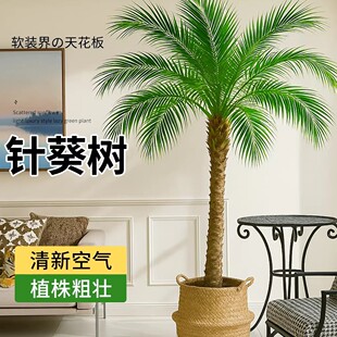 ᘿ�ֲ��͏d��Gֲ�҃ȴ������̨ͥԺ�k���Ҵ��͟Ꭷ�ؙ�Ҭ�Ә�