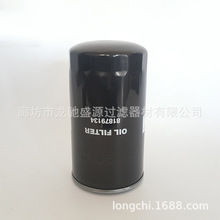 BT8432-MPG  P179343  6E6408  XH8191  86018758  FINFH50403