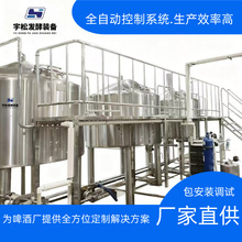 工厂直发 支持定制精酿啤酒生产线 鲜啤生产线 大型设备分体机糖