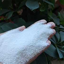 洗涤剂;氯化物;碳酸盐