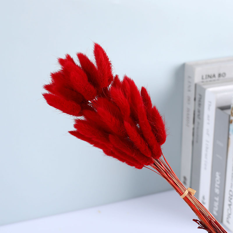 La flor eterna de la flor de la cola de conejo hierba seca 60 piezas al por mayor Dogtail hierba seca ramo de flores decoración DIY conejo hierba de la cola