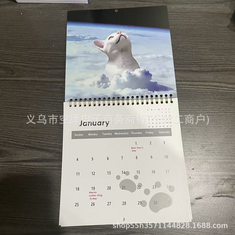 2026跨境新品Magical Cat抽象魔法猫日历是猫爱好者的理想礼物|undefined