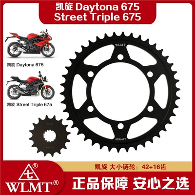 Chainring Seal, and Chain — Tire snow chain - buy-large-and-small-sprockets-separately-42-teeth-16-teeth
