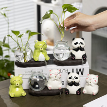 新款陶瓷水培花瓶北欧风办公室工位装饰摆件绿萝水养花瓶插花器皿