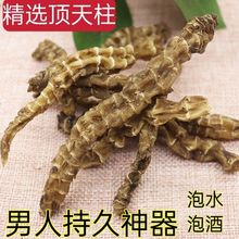 【回春草】顶天柱 不老草硬的快云南野生 持久泡茶泡酒料配起阳草