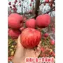 庭院种植地栽嫁接果苗