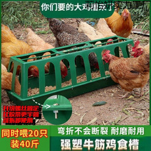 �¿��ʳ������ι�u�L���δ򲻷�ιˮ���u�����ݏS�����lιʳ��