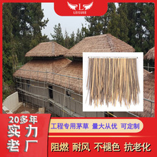 �S��ֱ�� ��������é���� �ͺ���ꖵ��݂�é�� ���L��ȼ���ݲ���