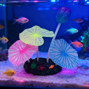 �~��ˮ���쾰 ҹ����z�����ɽ�ɻ����~Ģ��ɺ�� �S���쾰�b�Ʒ