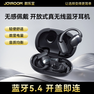 Jiletang cross-border open wireless Bluetooth headset ear-hook ultra-long battery life wireless headset suitable for Apple 17