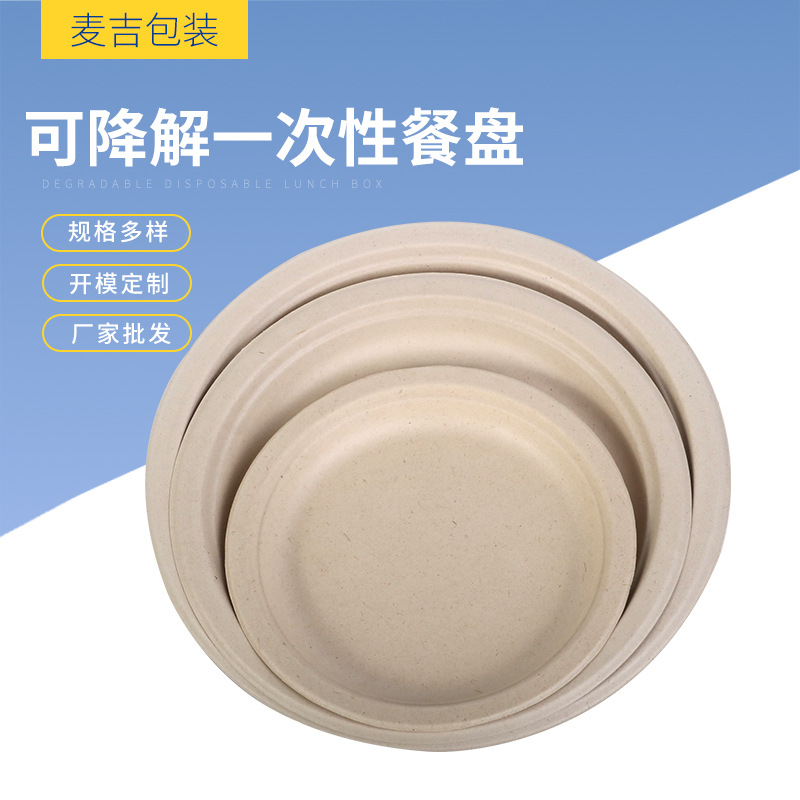 Placa de color natural de pulpa Placa de pastel de barbacoa de fiesta Placa de pintura hecha a mano de jardín de infantes Placa de papel degradable