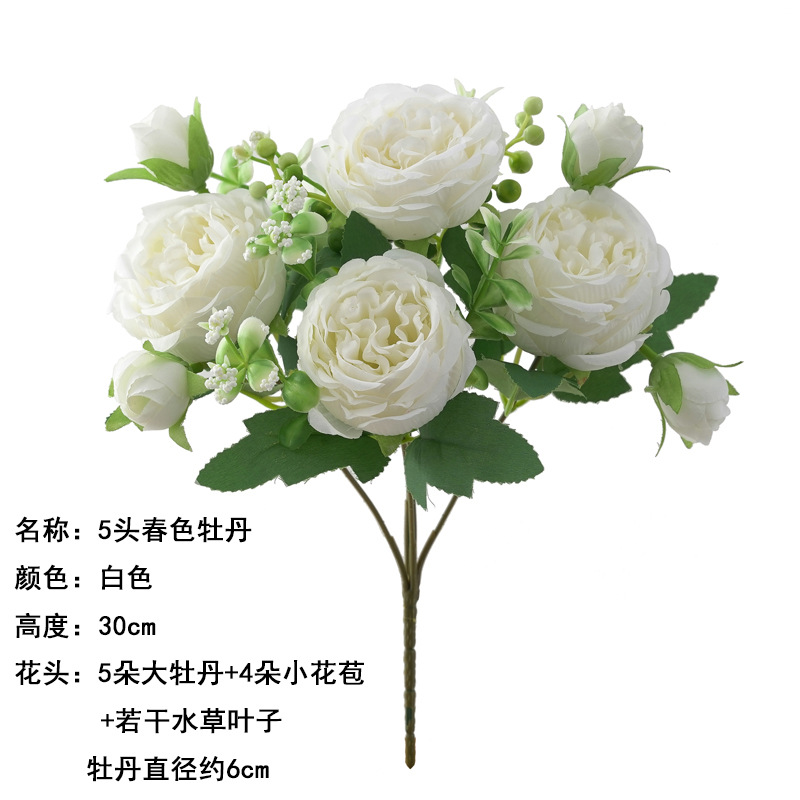 5송이 봄빛 모란, 흰색
