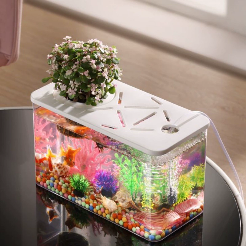 Прозрачный пластиковый аквариум для дома, небольшой аквариум с изображением черепахи, экологический резервуар для ландшафтного дизайна, устойчивый к падению аквариум, бесплатная доставка для ленивых людей