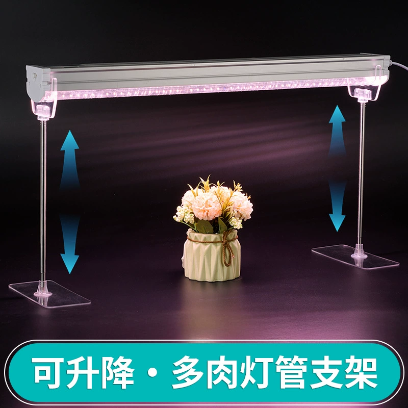T8T20 растение лампа вертикальный кронштейн мясистый рост лампа подсветка подъемная акриловая подставка из нержавеющей стали для ПК