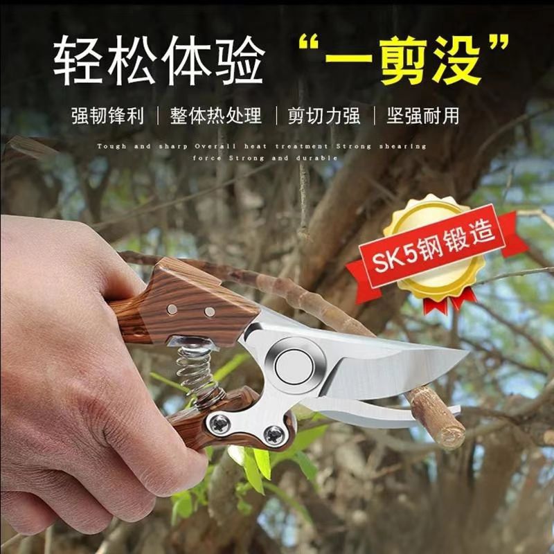 果树修枝剪树枝专用花艺花卉枝剪子剪枝园林工具花剪修剪园艺剪刀