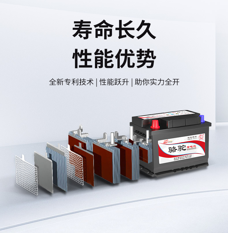 Camel Brand Electric Forklift Battery, Maintenance-Free 80Ah 120Ah Battery for Passenger Vehicles, Trucks, Excavators, and Generators