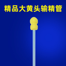 iһԫFݔܴС^ĸi˹ھNBֳOܾƿ