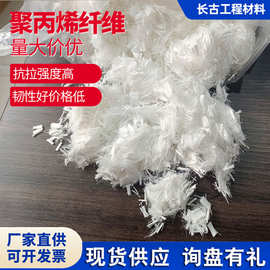 现货厂家直发聚丙烯纤维 水泥砂浆混凝土抗裂用高强聚丙烯短纤维