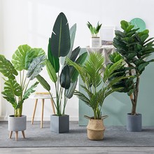 防真室内树客厅高大旺宅绿植大型电视柜旁边绿植情绪稳定植物塑料