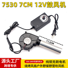 Factory direct supply 7530 blower with round pipe head 220V household adjustable speed controller firewood engine oil barbecue grill mute