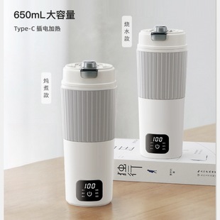 Portable Kettle Travel Electric Water Cup Car-mounted Water Cup Small Heating Thermos Cup Electric Kettle Cross-border