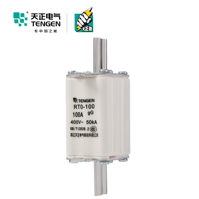 TENGEN天正电气 RTO-100体熔断器熔芯RT0-100A陶瓷保险丝63A 80A
