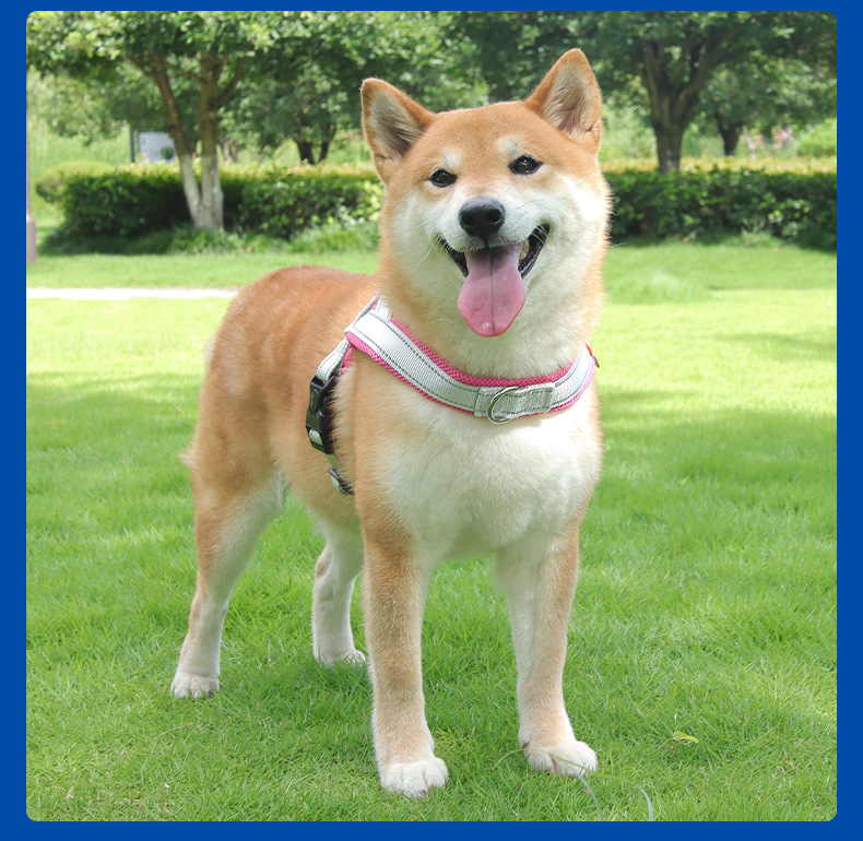 Reflective No-pull Dog Saddle Harness For Puppies And Small Dogs_voghion.com