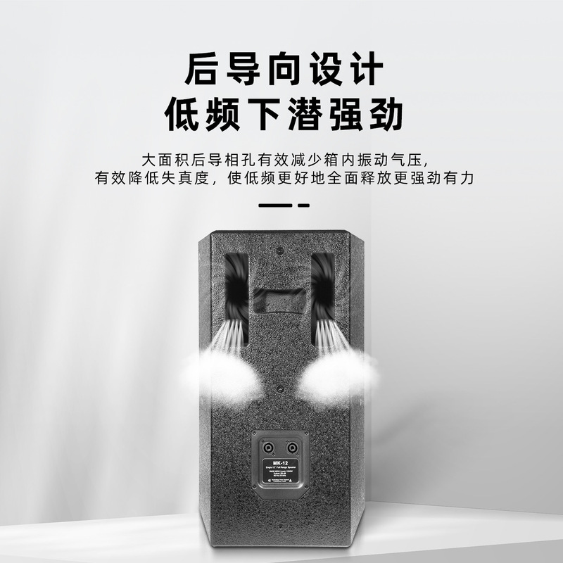 专业单12寸家庭娱乐KTV酒吧音响套装家用客厅卡拉OK影院组合音箱|undefined