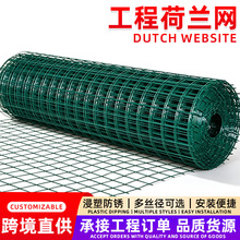 跨境专供荷兰网硬塑铁丝网养鸡鸭养殖圈地围栏浸塑防锈防护网厂家