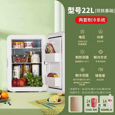Freezer for Cosmetics, Breast Milk, Student – Soyuducular - basic-dual-core-model-22l-gold-glass-model-dual-use-for-car-and-home