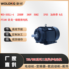 WE5-355L1-4  250KW  380V 50HZ   IP55  ���ȴ� 8��PT100