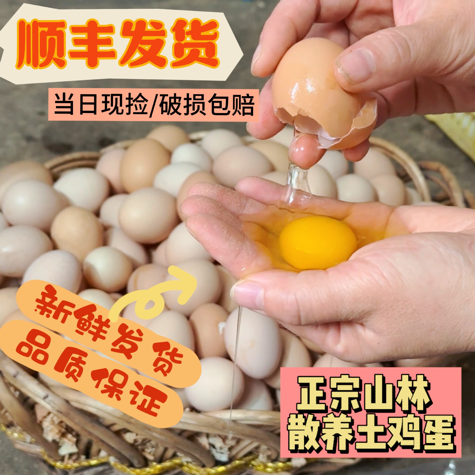 谷物喂养土鸡蛋批发散养蛋黄品质坏蛋包赔认证鲜蛋直供笨鸡蛋有机