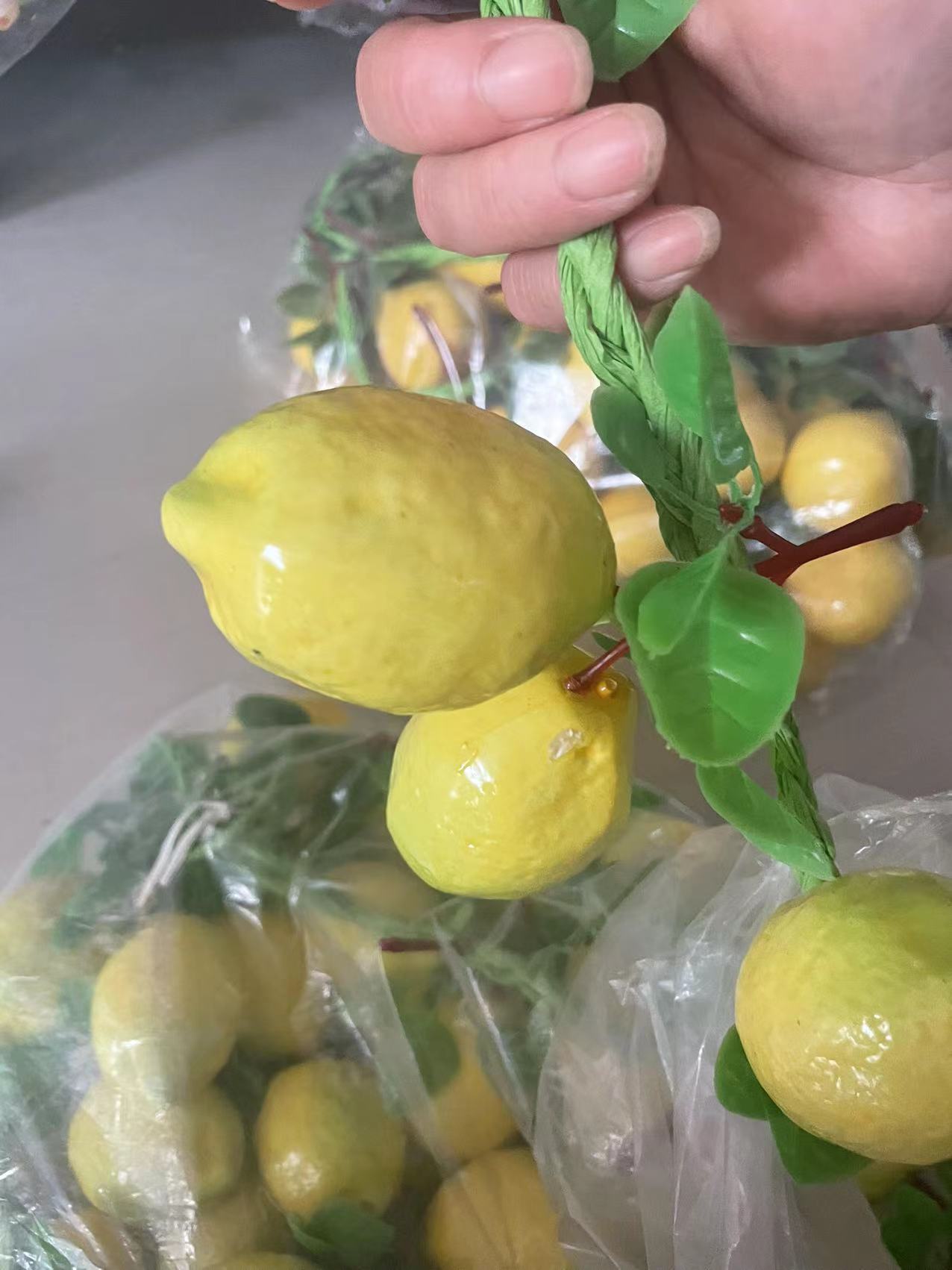 7285d8756e8505a87bb77afea3fcf2