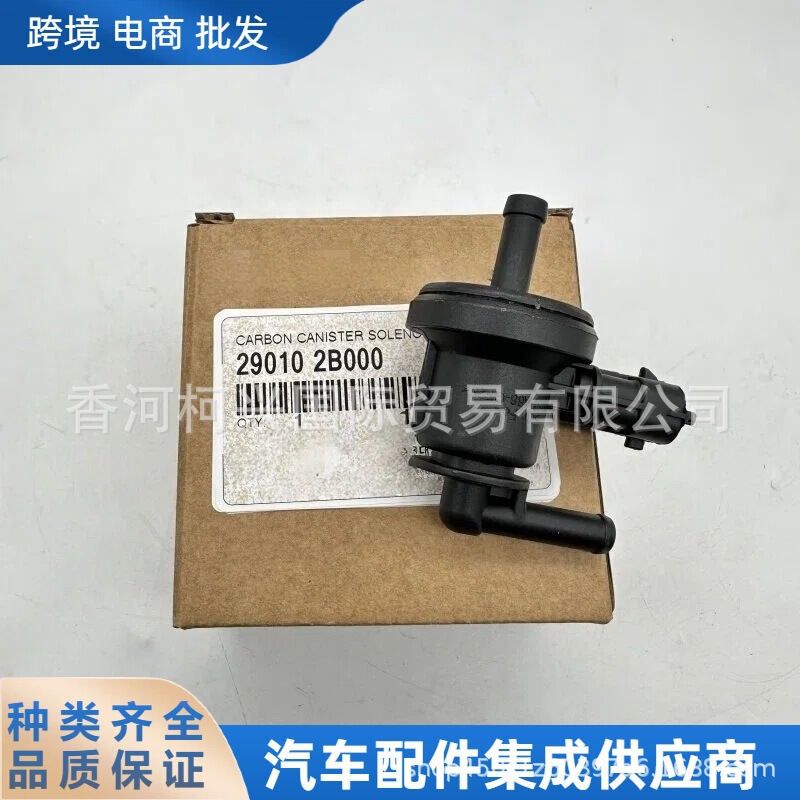 290102B000 29010-2B000 Car Spare Parts Carbon Canister Solenoid Valve Suitable for Kia Soul Hyundai