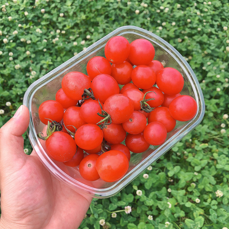 IMG_0249(20210512-173724)_副本.j