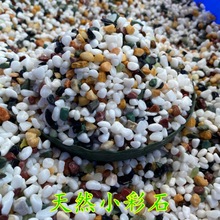 小石子五雨花石魚缸造鋪底盆栽多肉植物鋪面裝飾小石頭包郵